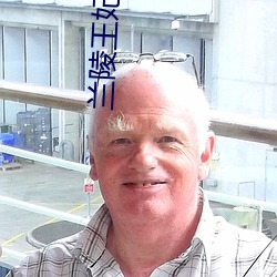 兰陵王妃小说