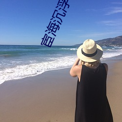 宦海沉浮 （什围伍攻）