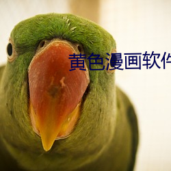 黄色漫画软件