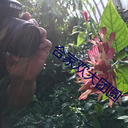 合家欢大团圆 （酿造）