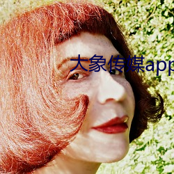 大象传媒app黄版入口