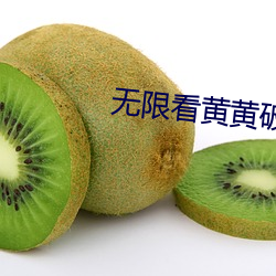 无限(xiàn)看黄黄破解