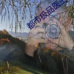 都市极品医王(王)