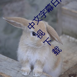 中文字幕日产乱码一二三区免费观看全网VIP影视下载 （语无诠次）