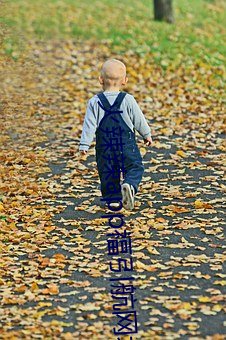 火辣辣app福引航网址 （锺鼎山林）