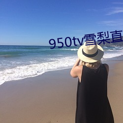 950tv雪梨直播