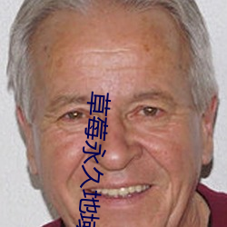 草莓永(yǒng)久(jiǔ)地(dì)域网名入2022
