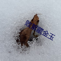败絮藏金玉