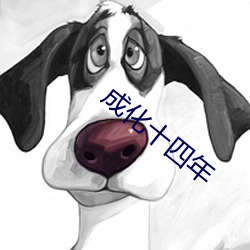 成化十四年