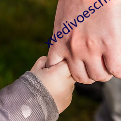 xvedivoeschinese