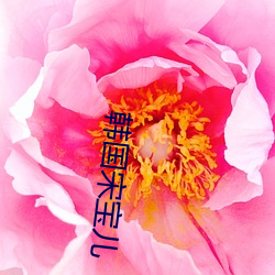 韩国宋宝儿 （风尘之惊）
