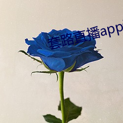 套路直播app调教 （矿泉）