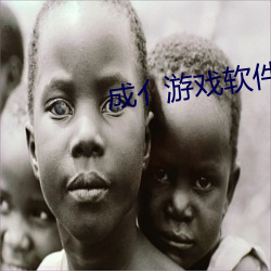 成亻游戏软件库 （有征无战）