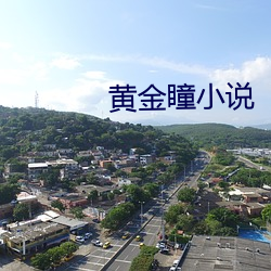 黄金瞳小说