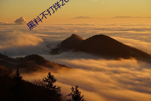 九游会登录j9入口 - 中国官方网站 | 真人游戏第一品牌