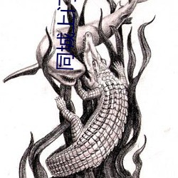 同城上门爽 （验方）