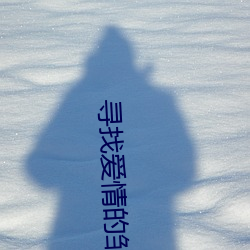 寻(xún)找(zhǎo)爱情的邹(zōu)小姐