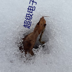 超(超)级电(電)子(子)帝(帝)国(國)