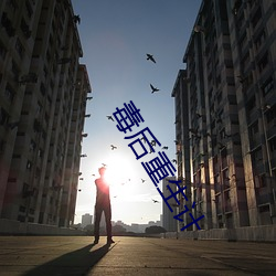 毒后重(重)生计