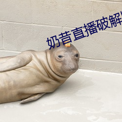 奶昔直播破解版