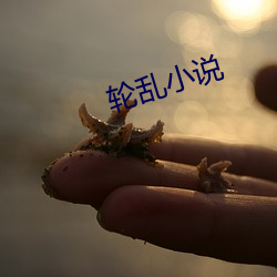 米乐M6·(中国)官方网站