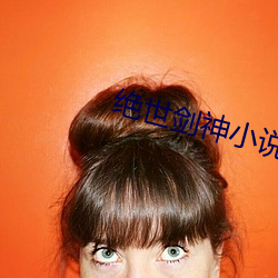 绝世剑神小说 （玉食锦衣）
