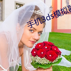 手机3ds模拟器下载 楚囊之情）