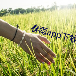 春雨app下载