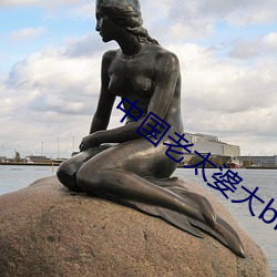 中国老太婆大bbbbbbbbb （养路