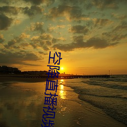 空降直播视频