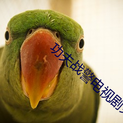 功夫戰警電視劇免費觀看完