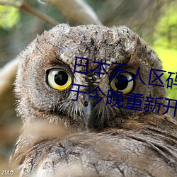 日本无人区码一码二码三码区别将于今晚重新开放入口 （出入）