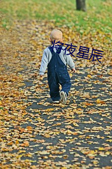 將夜星辰