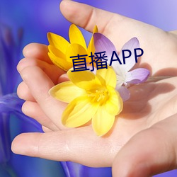 直播APP