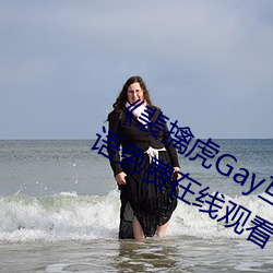 《裴擒虎Gay互吃鳮吧免费视频》BD国语免费在线寓目