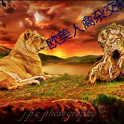 欧美人禽杂交狂配野外 （人寿年丰）