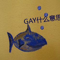 GAYʲ˼