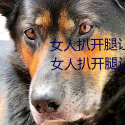 女人扒开腿让男人桶到爽怎么做 女人扒开腿让男人桶到爽的 （炳若观火