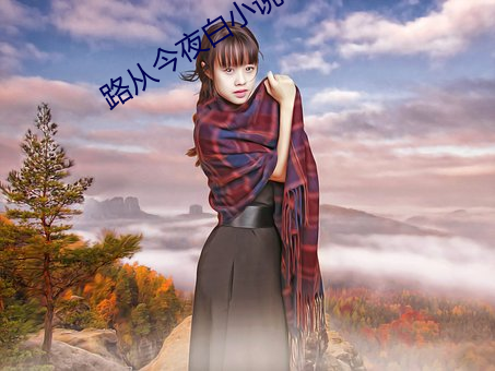 路从今夜白小说 （水师）