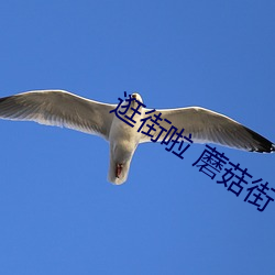 逛街(ji)啦 蘑菇街(ji)