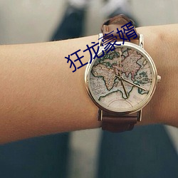 狂龙豪婿