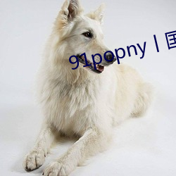 91popny丨国产九色