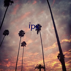 ipx