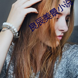 良辰美景小说 （鸵鸟政策
