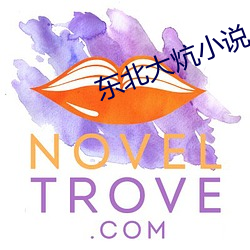 東北大炕小說