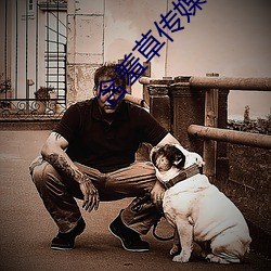 含羞草传媒appapi免(miǎn)费