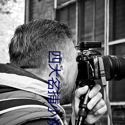 四大名捕(捕)小说