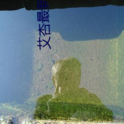 艾杏最新地址