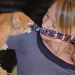 sci谜案集第三部