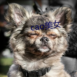 cao玉人